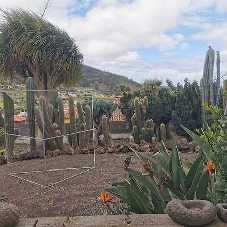 Cactus Lejlighed Santa Cruz de Tenerife