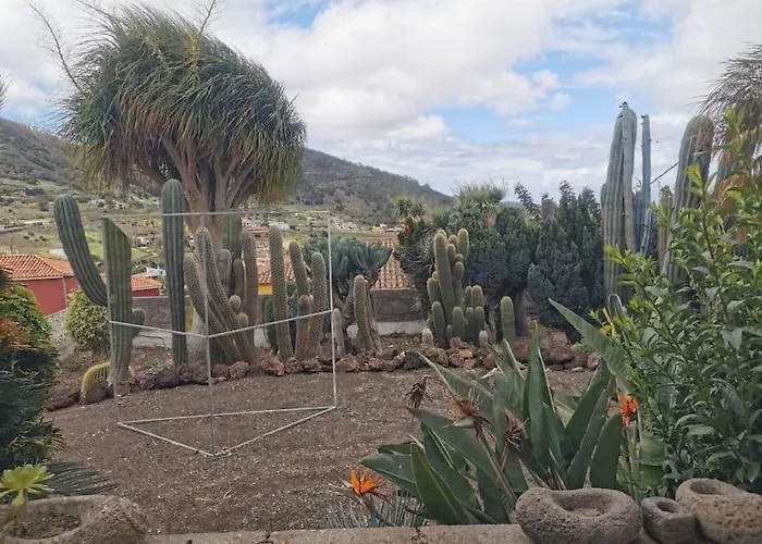 Cactus Apartment Santa Cruz de Tenerife